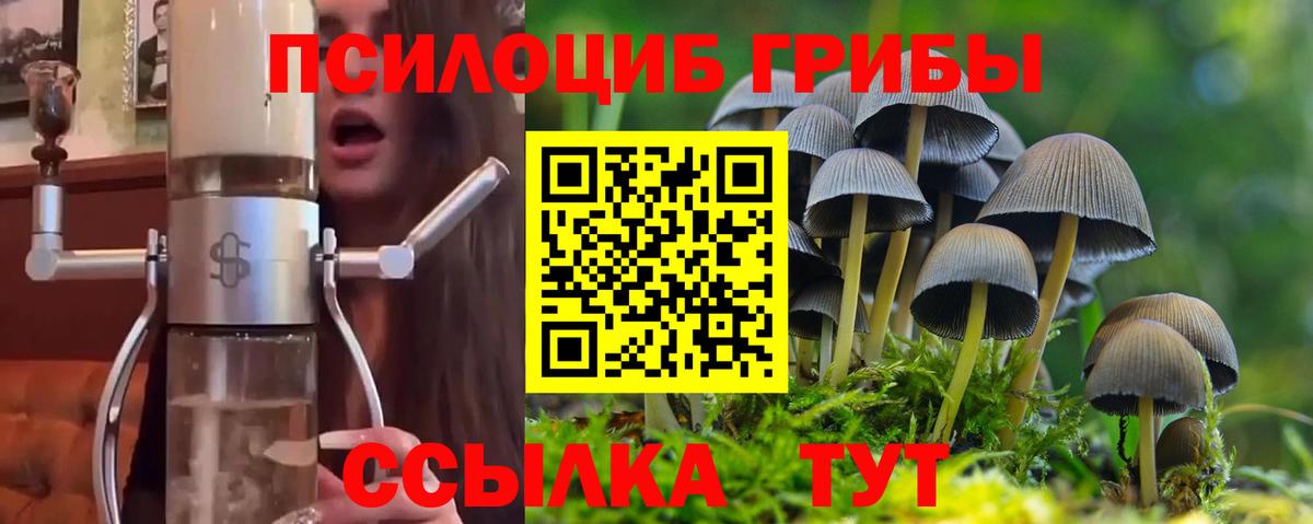 Углич  как найти наркотики  Вход с VPN  Псилоцибиновые грибы Psilocybe 